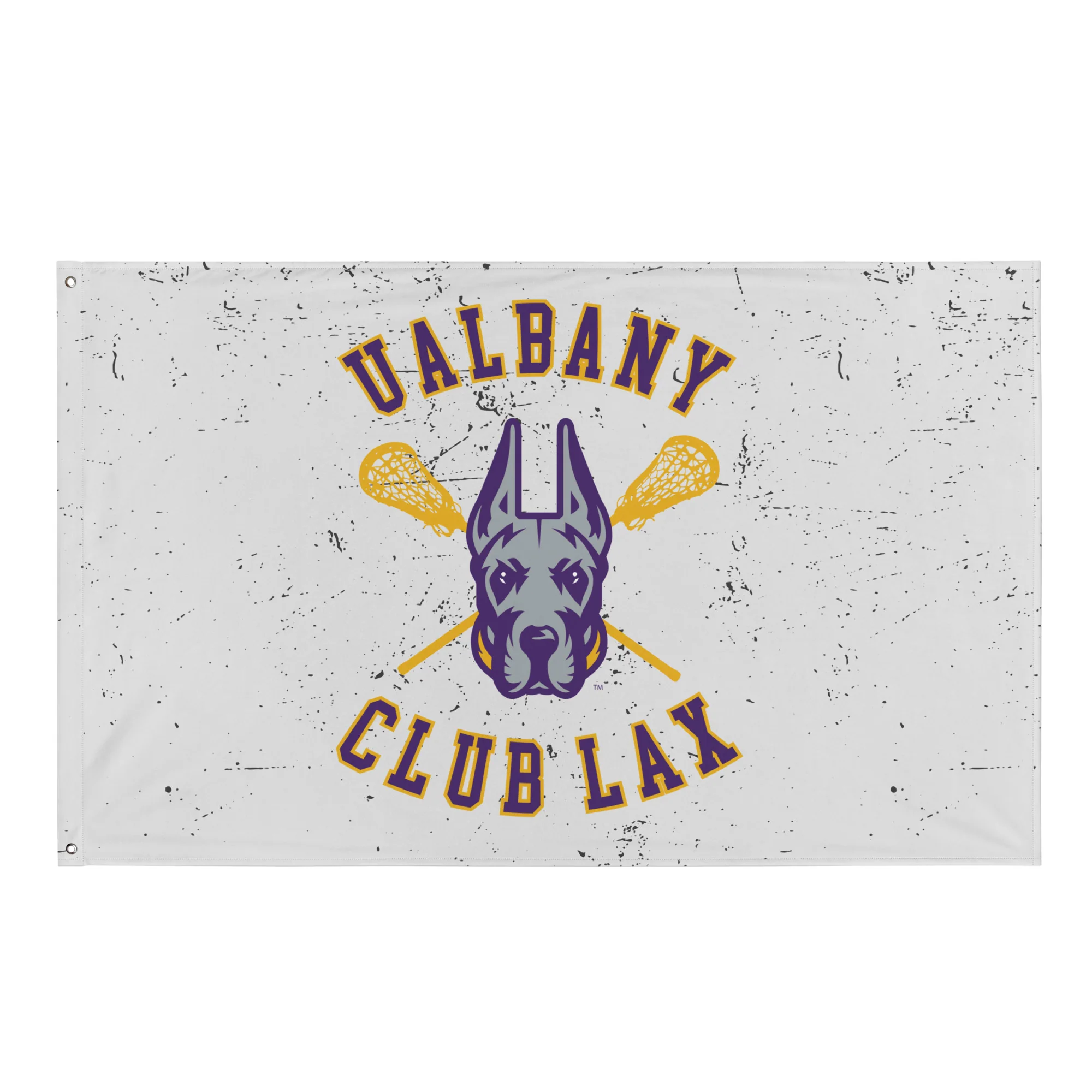 Albany Women's Club Flag