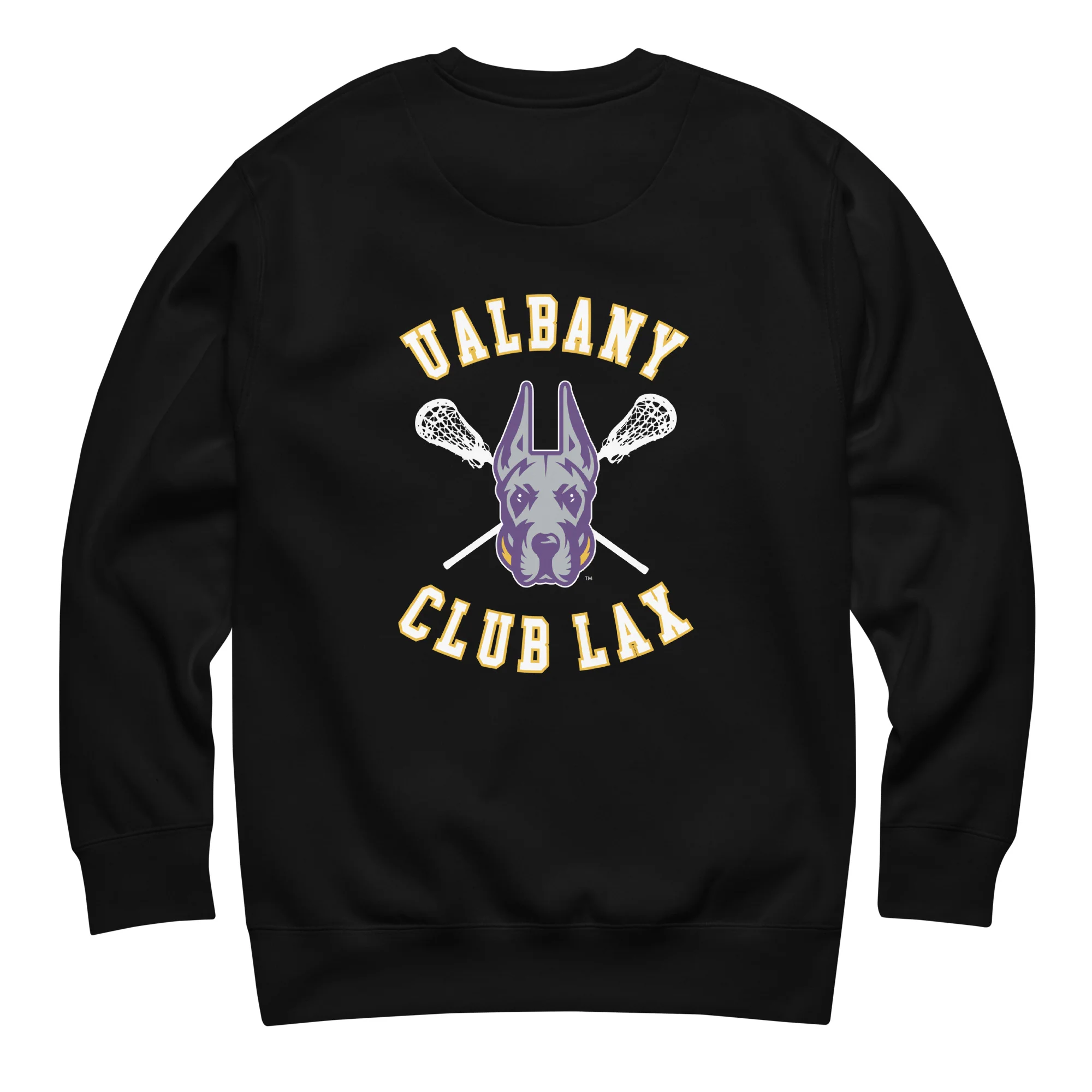 Albany Women's Club Unisex Crewneck (front and back print) - Image 3