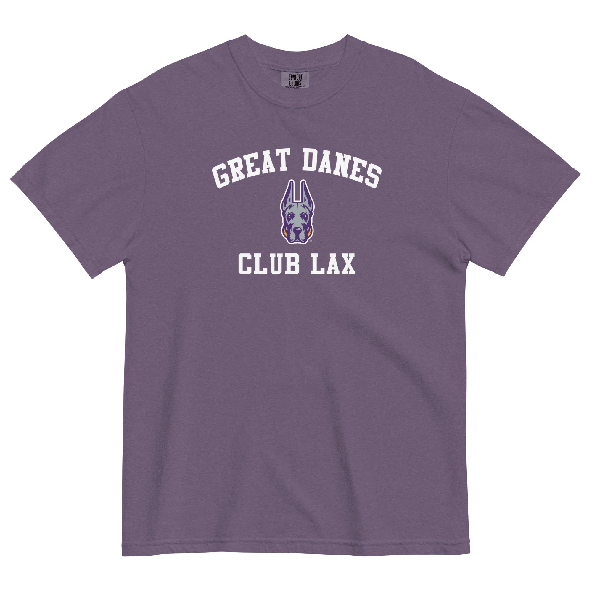 Albany Women's Club Unisex Garment-dyed T-Shirt