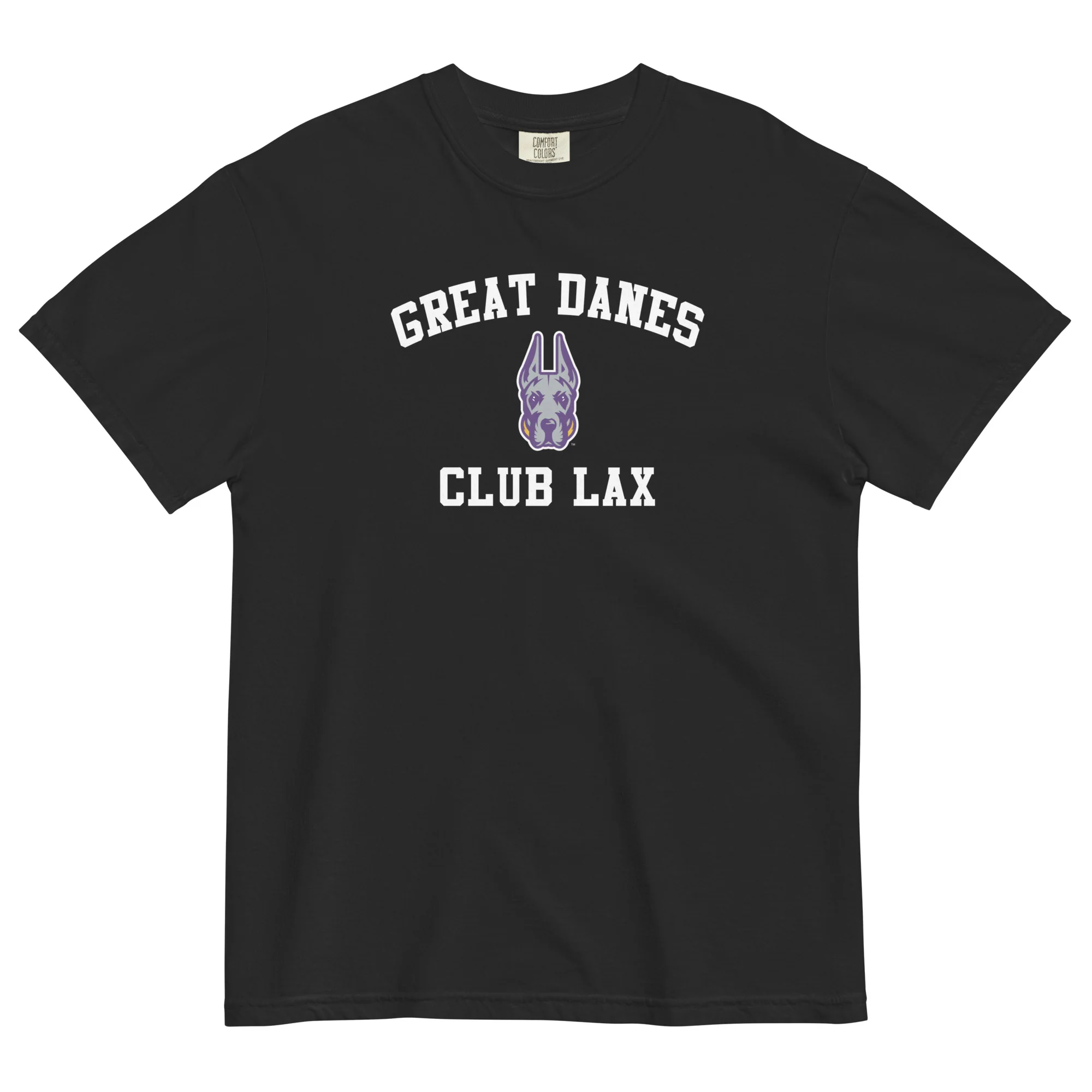 Albany Women's Club Unisex Garment-dyed T-Shirt - Image 2