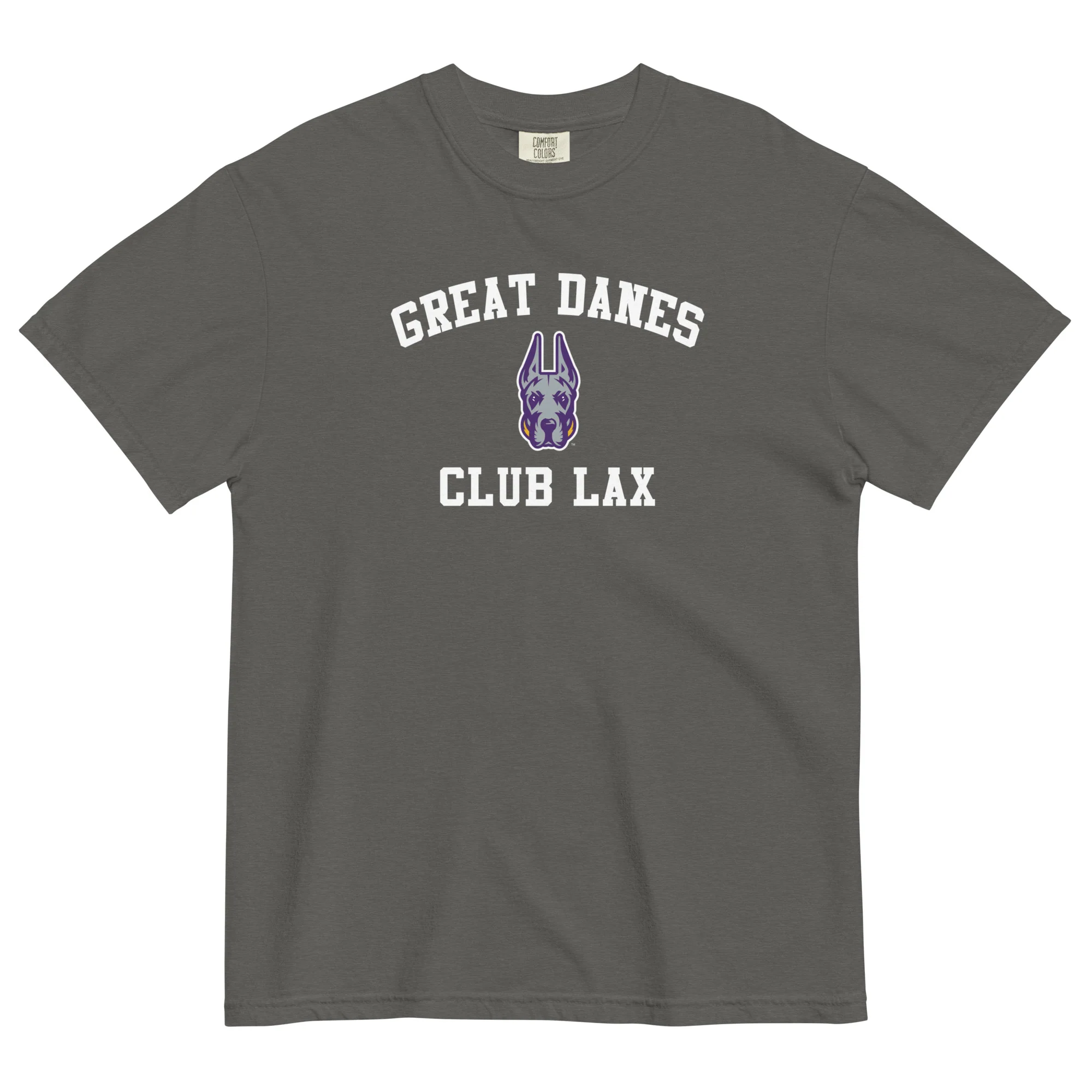 Albany Women's Club Unisex Garment-dyed T-Shirt - Image 3