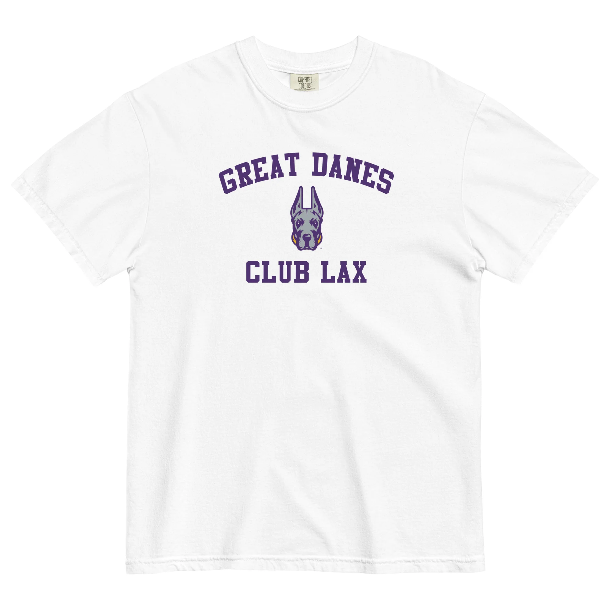 Albany Women's Club Unisex Garment-dyed T-Shirt - Image 4