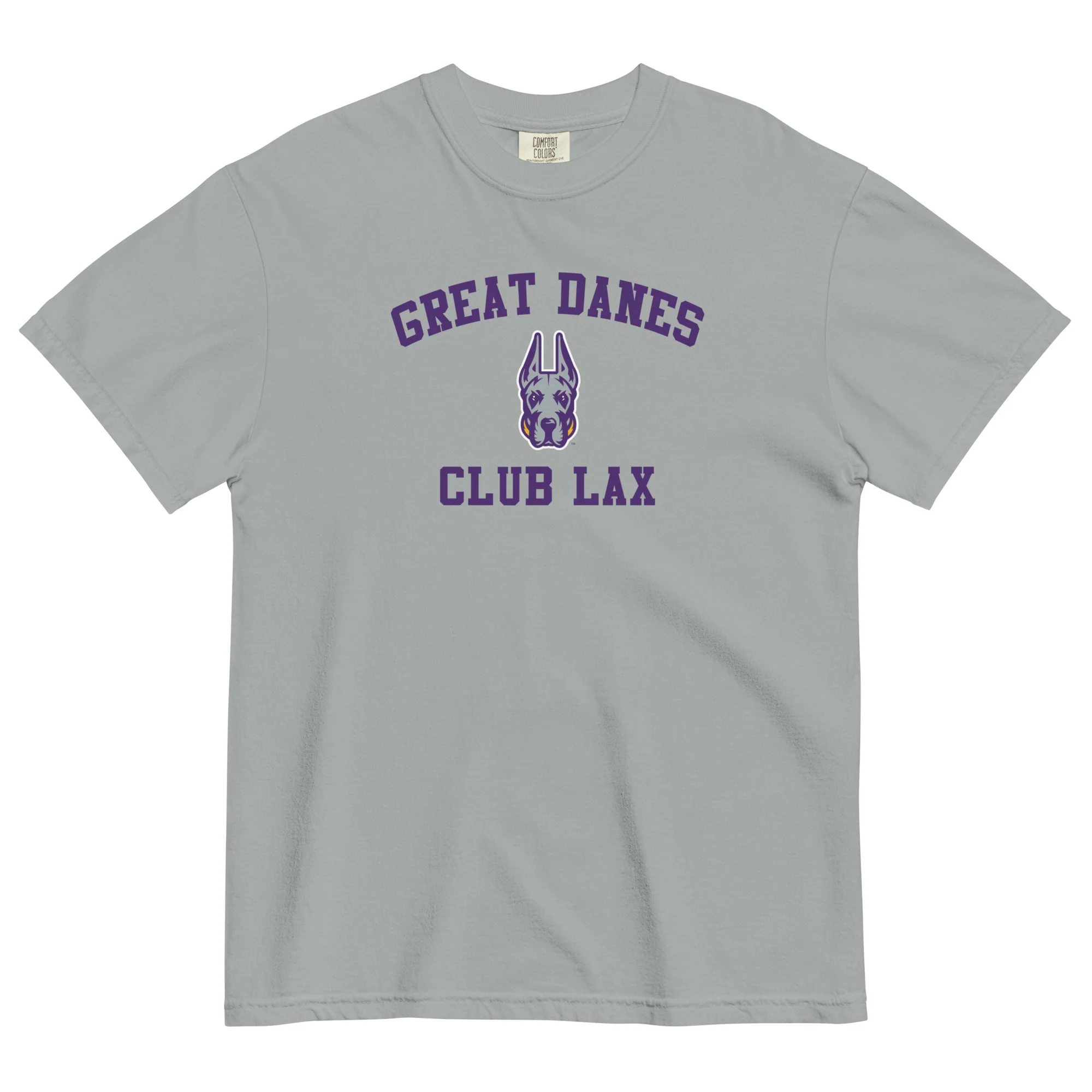 Albany Women's Club Unisex Garment-dyed T-Shirt - Image 5