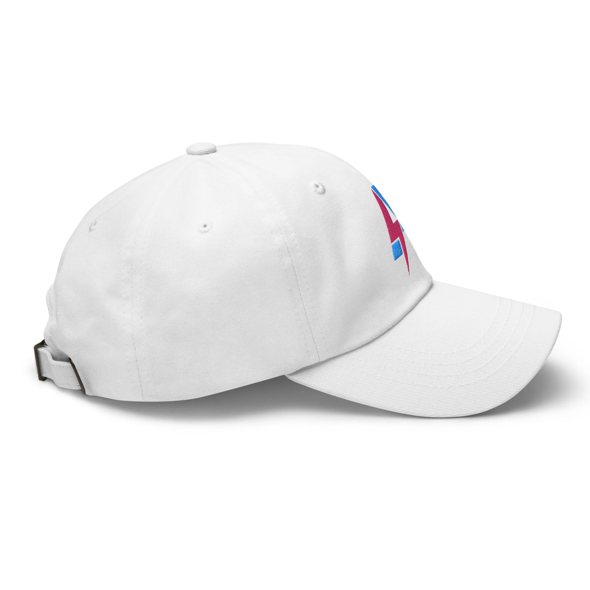 Ankeny Dad hat - Image 26