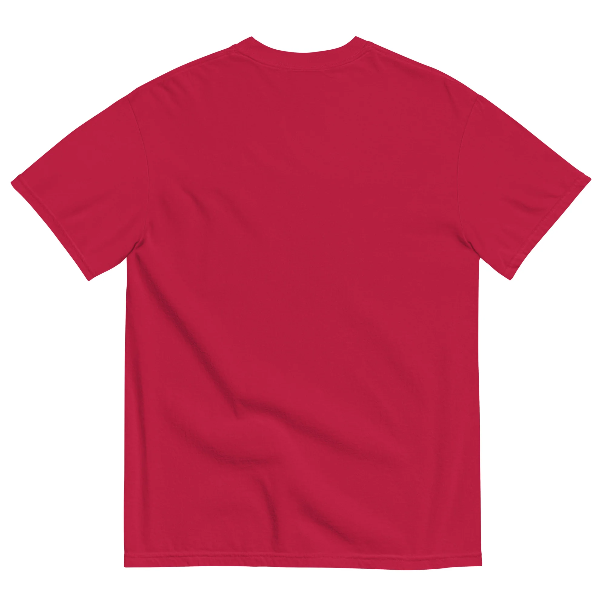 AZ National Unisex garment-dyed t-shirt - Image 5