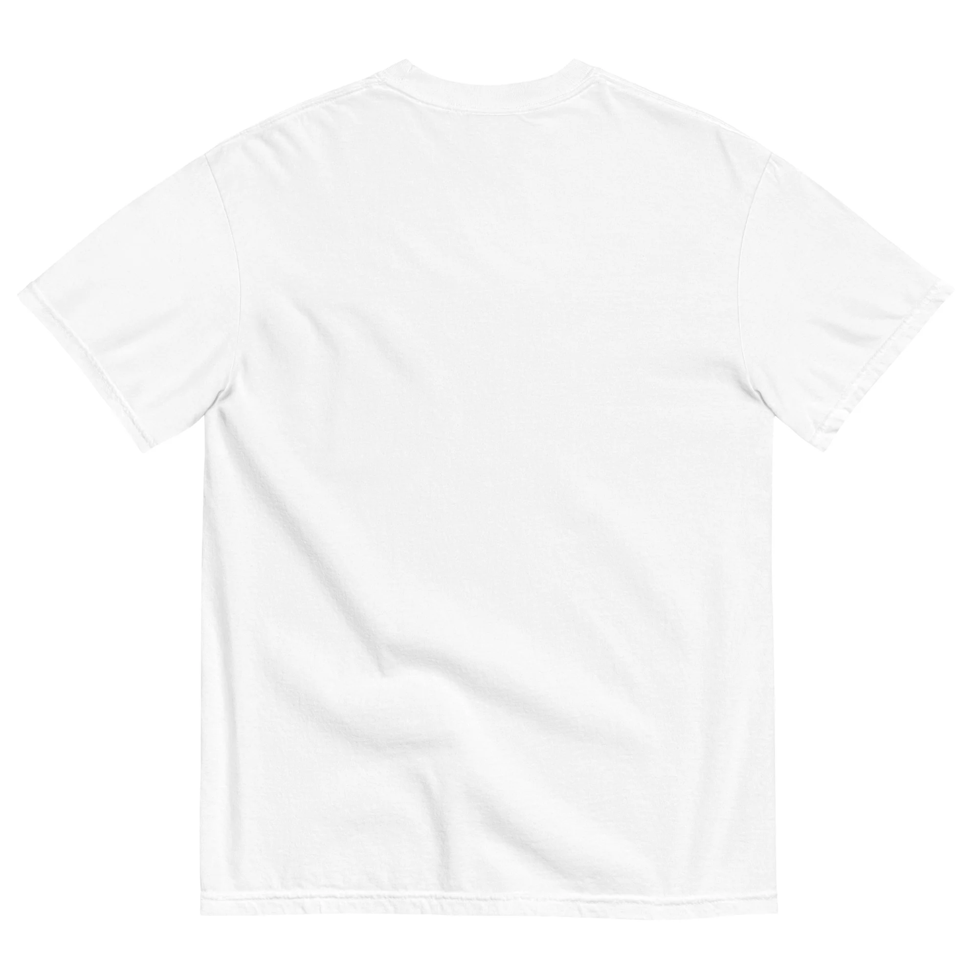 AZ National Unisex garment-dyed t-shirt - Image 8