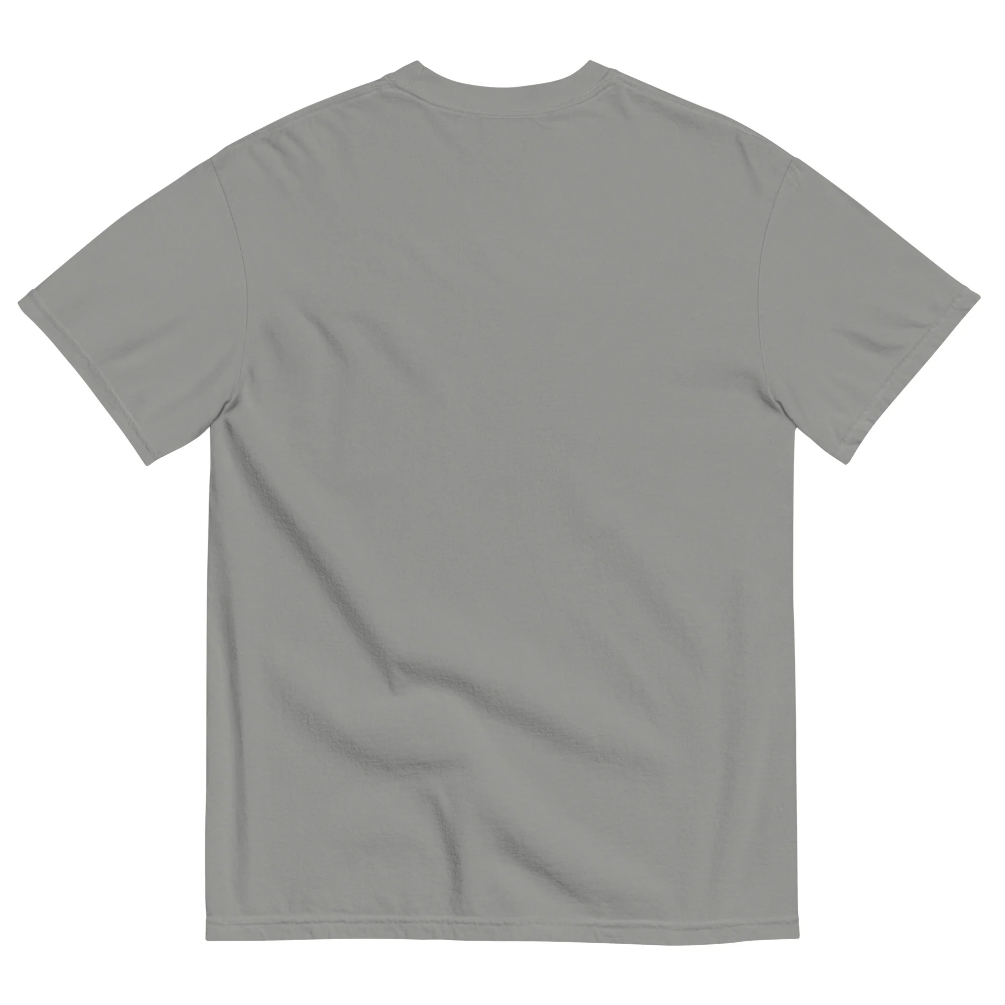 AZ National Unisex garment-dyed t-shirt - Image 6