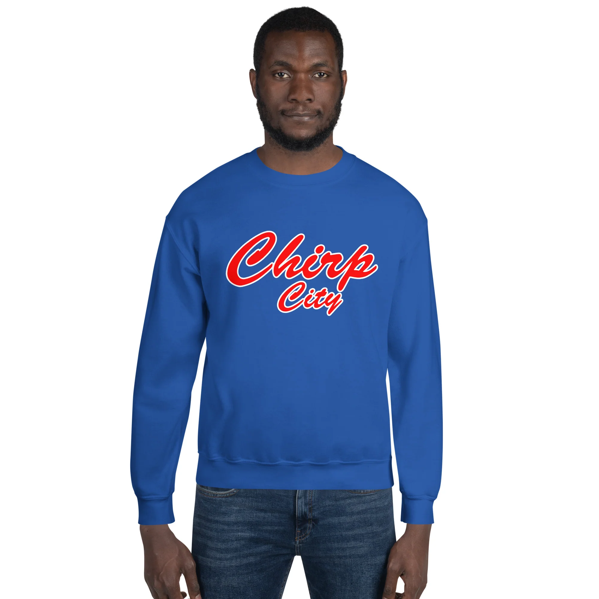 Chirp City Script Unisex Sweatshirt - Image 17