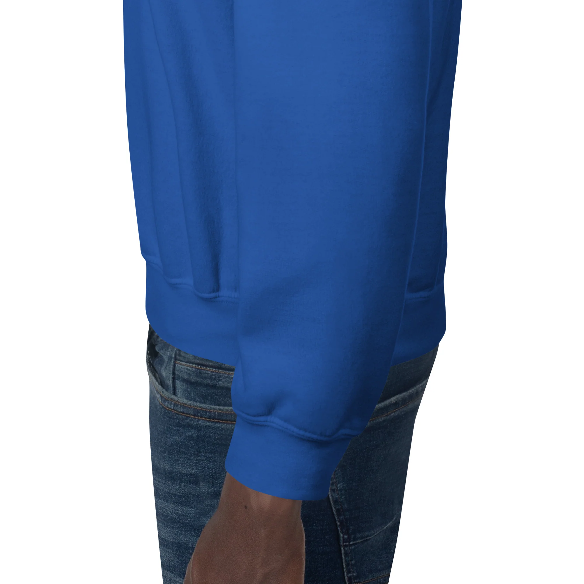 Chirp City Script Unisex Sweatshirt - Image 21