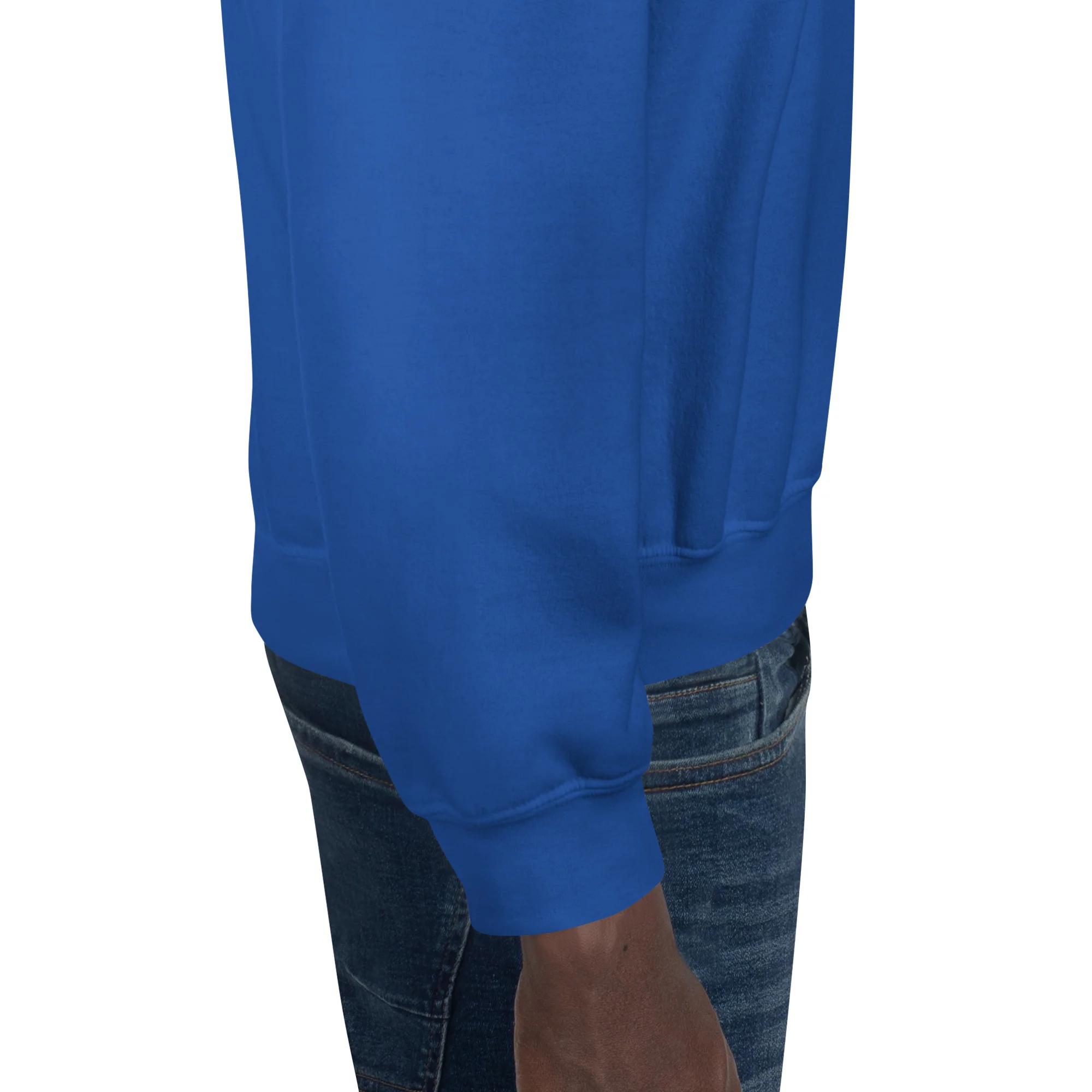 Chirp City Script Unisex Sweatshirt - Image 22