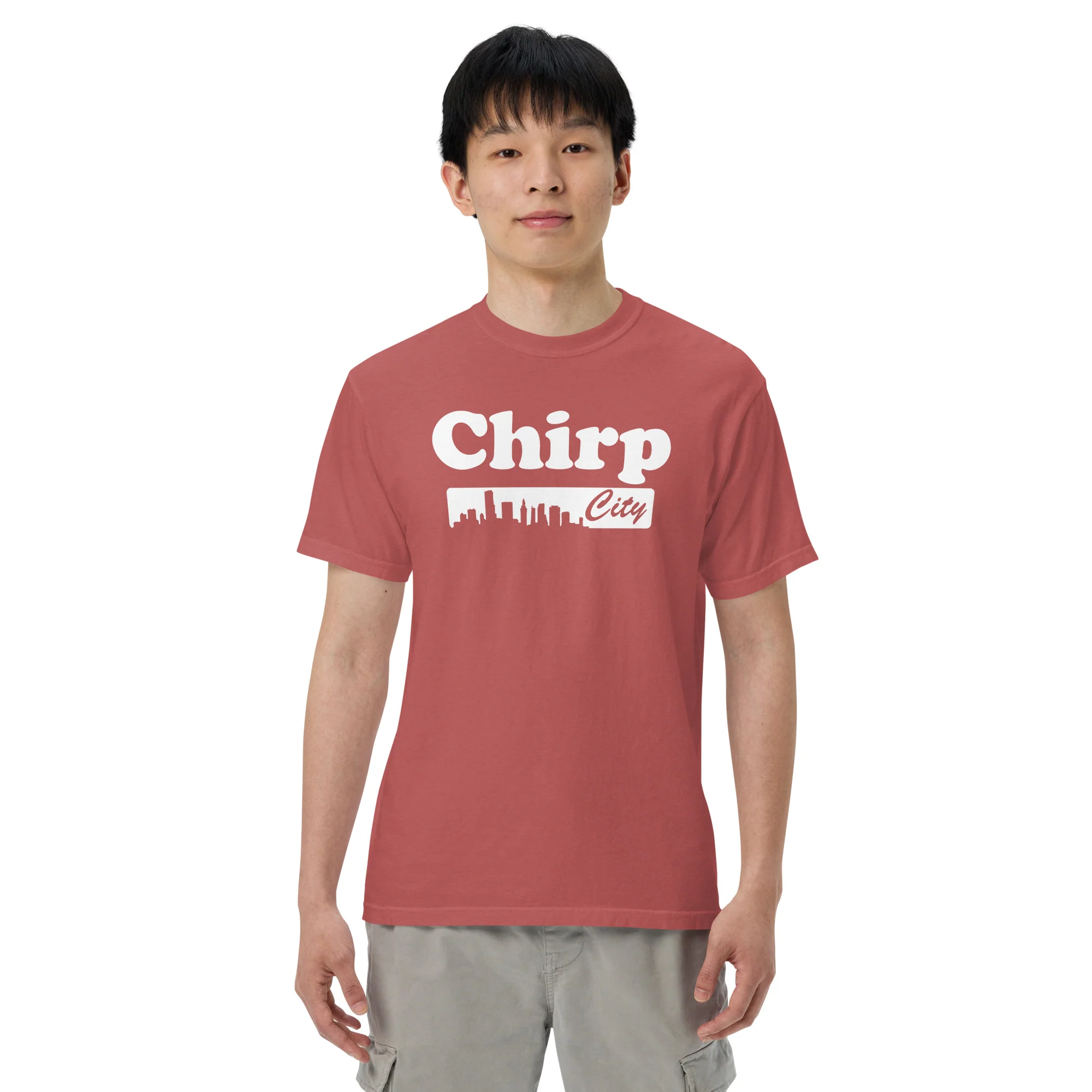 Chirp City Skyline Unisex garment-dyed heavyweight t-shirt - Image 10