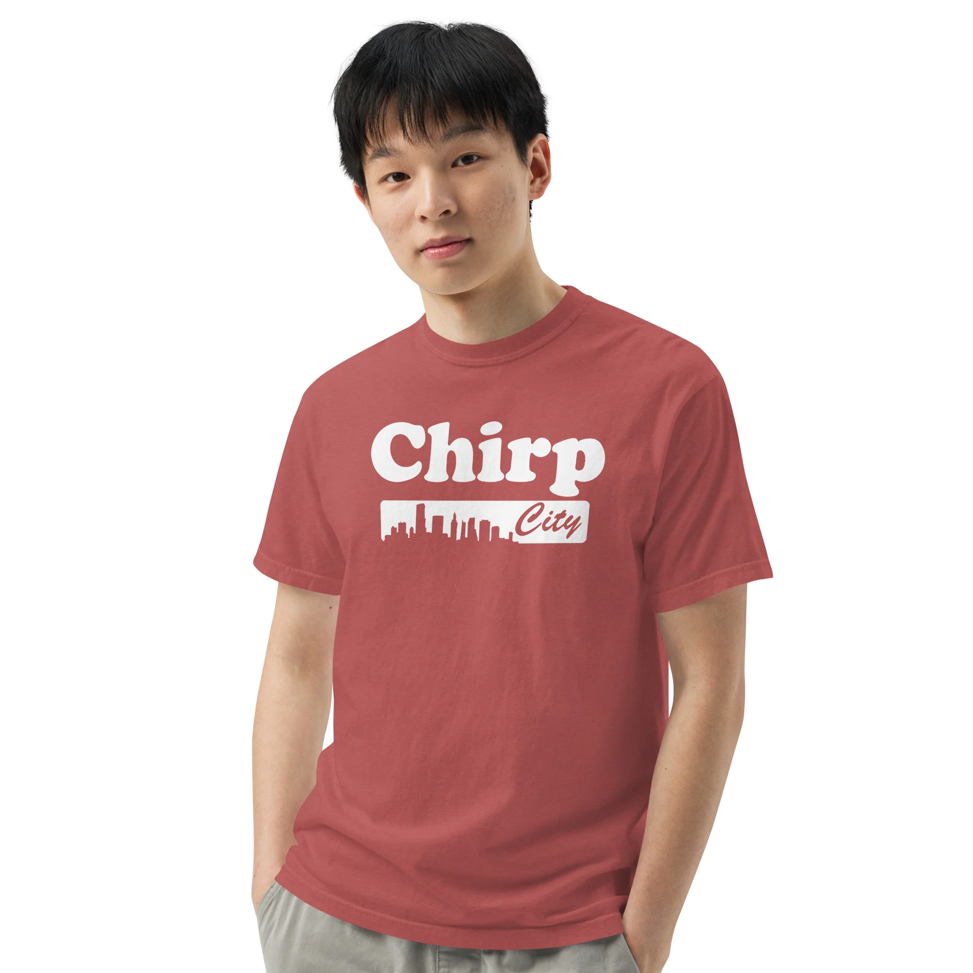 Chirp City Skyline Unisex garment-dyed heavyweight t-shirt - Image 12