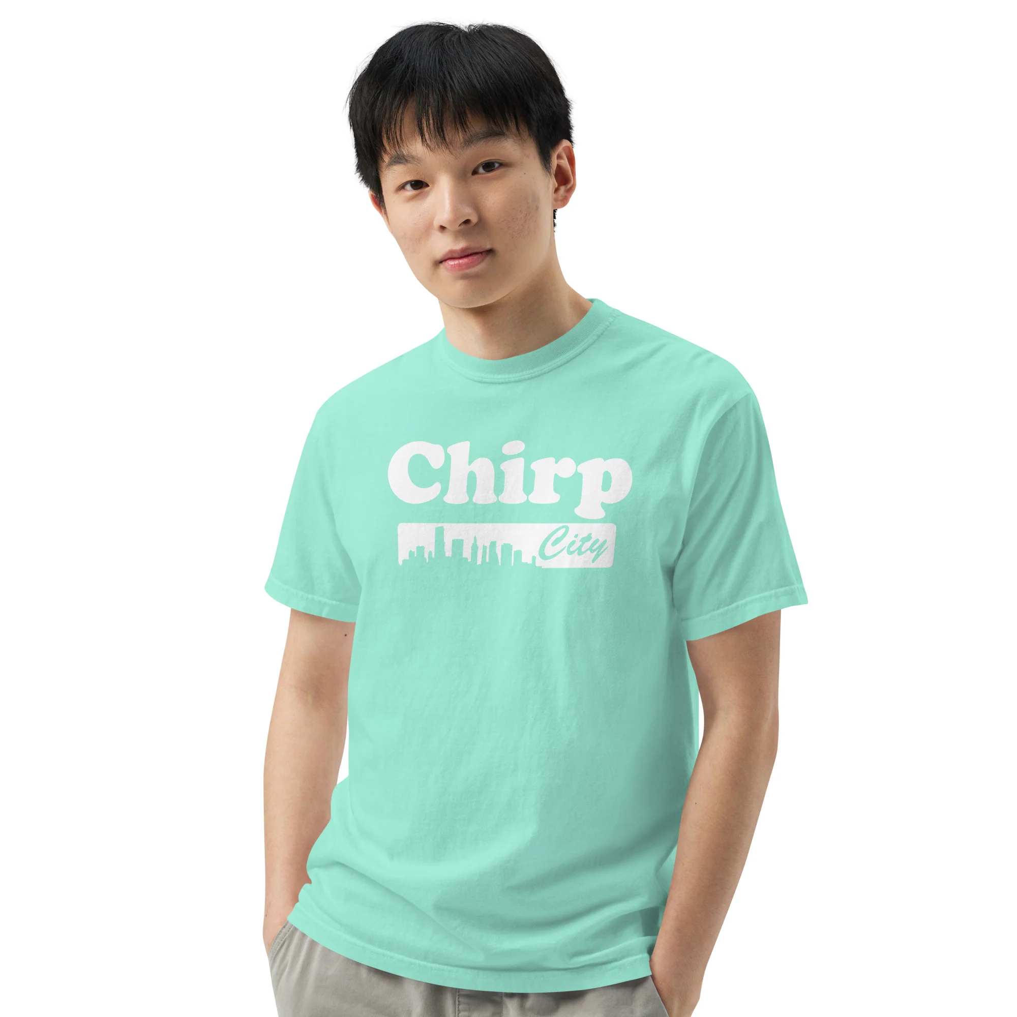 Chirp City Skyline Unisex garment-dyed heavyweight t-shirt - Image 19