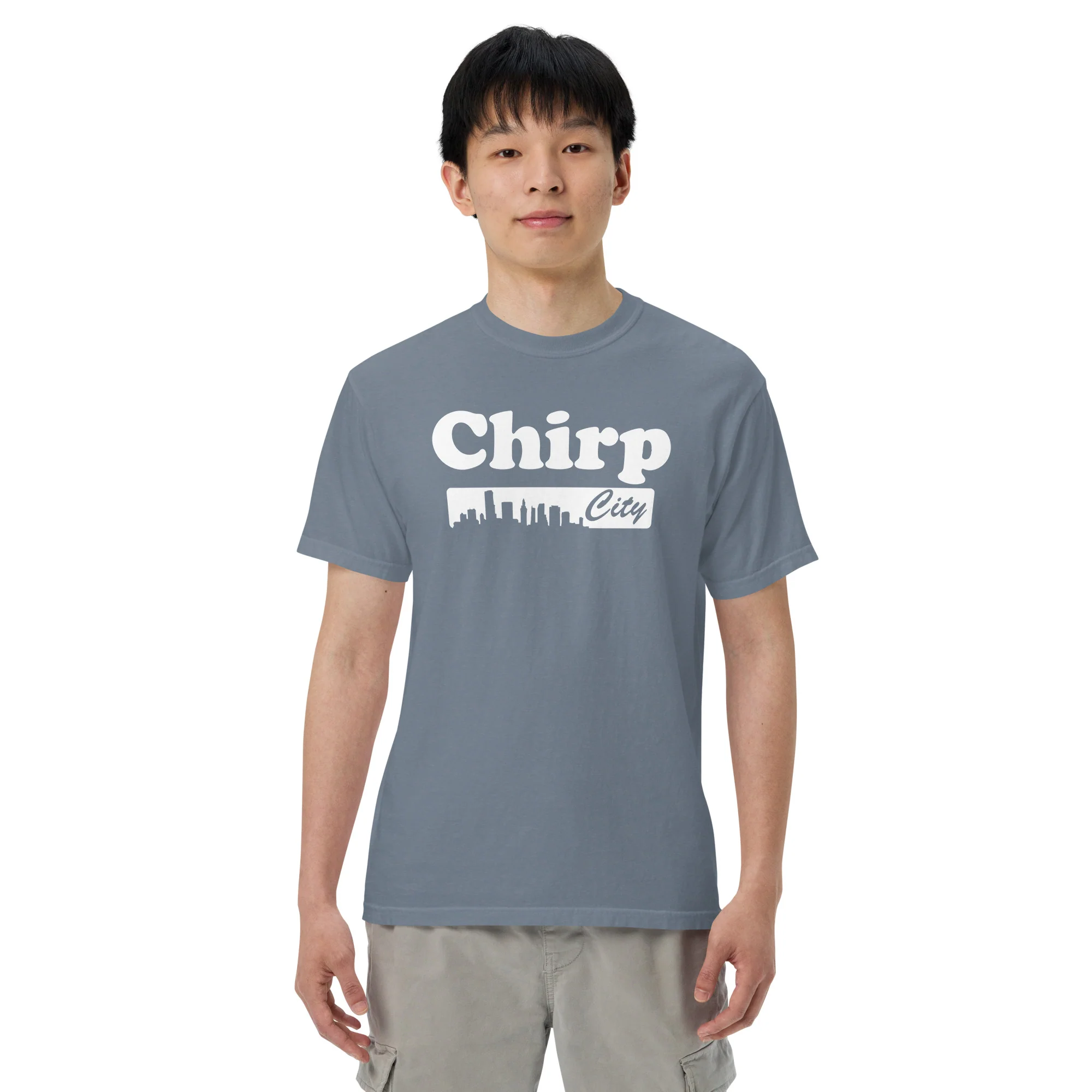 Chirp City Skyline Unisex garment-dyed heavyweight t-shirt - Image 2