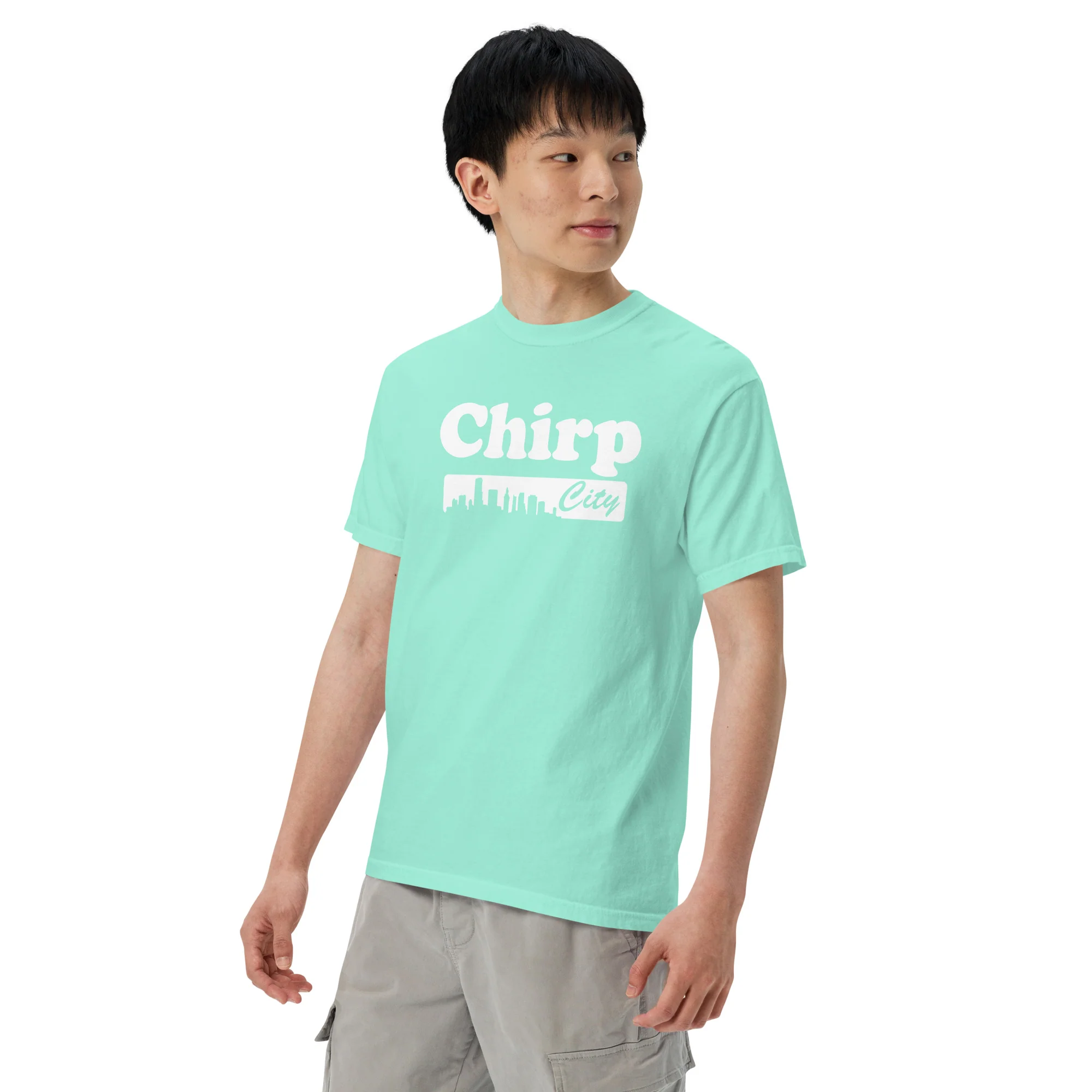 Chirp City Skyline Unisex garment-dyed heavyweight t-shirt - Image 20