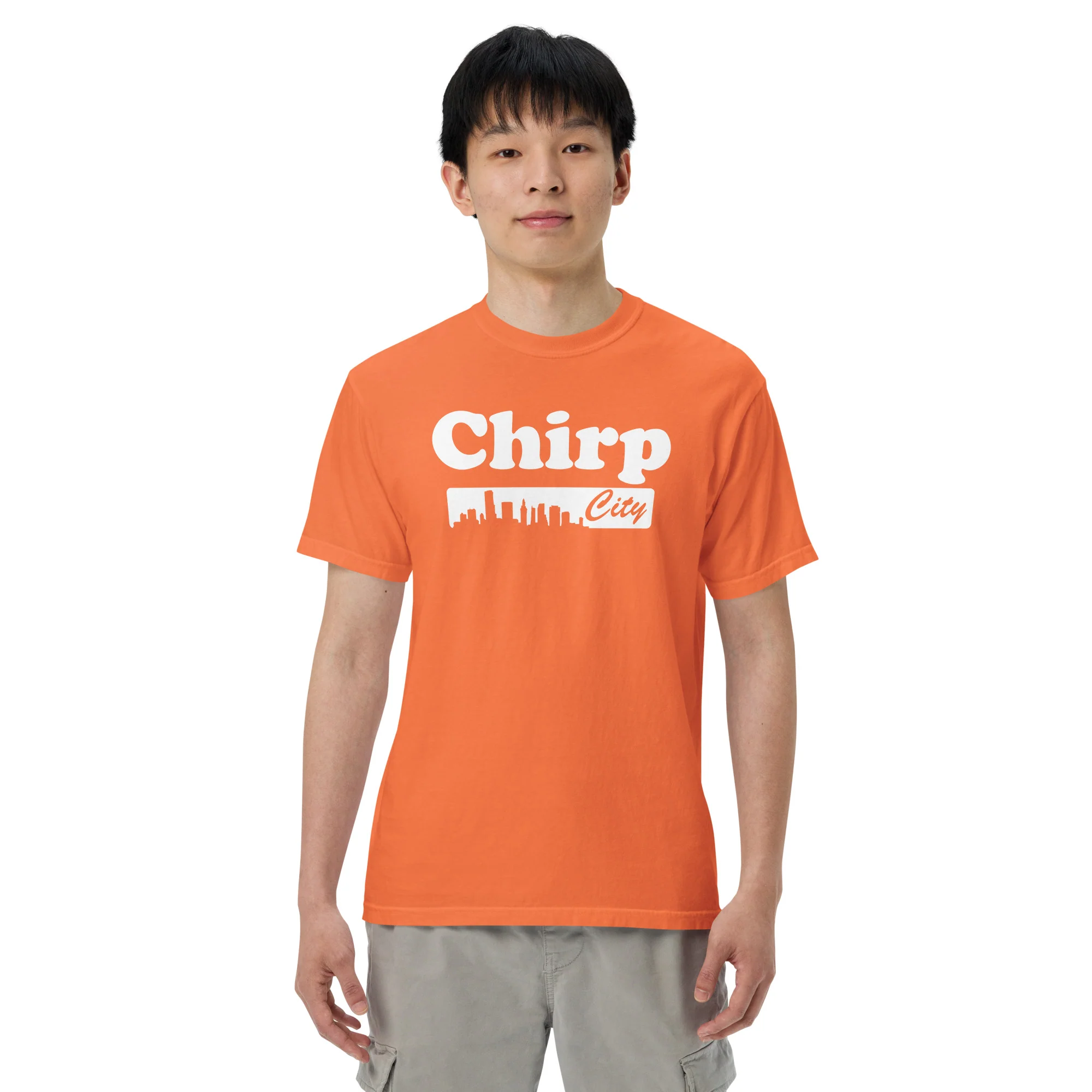 Chirp City Skyline Unisex garment-dyed heavyweight t-shirt - Image 25