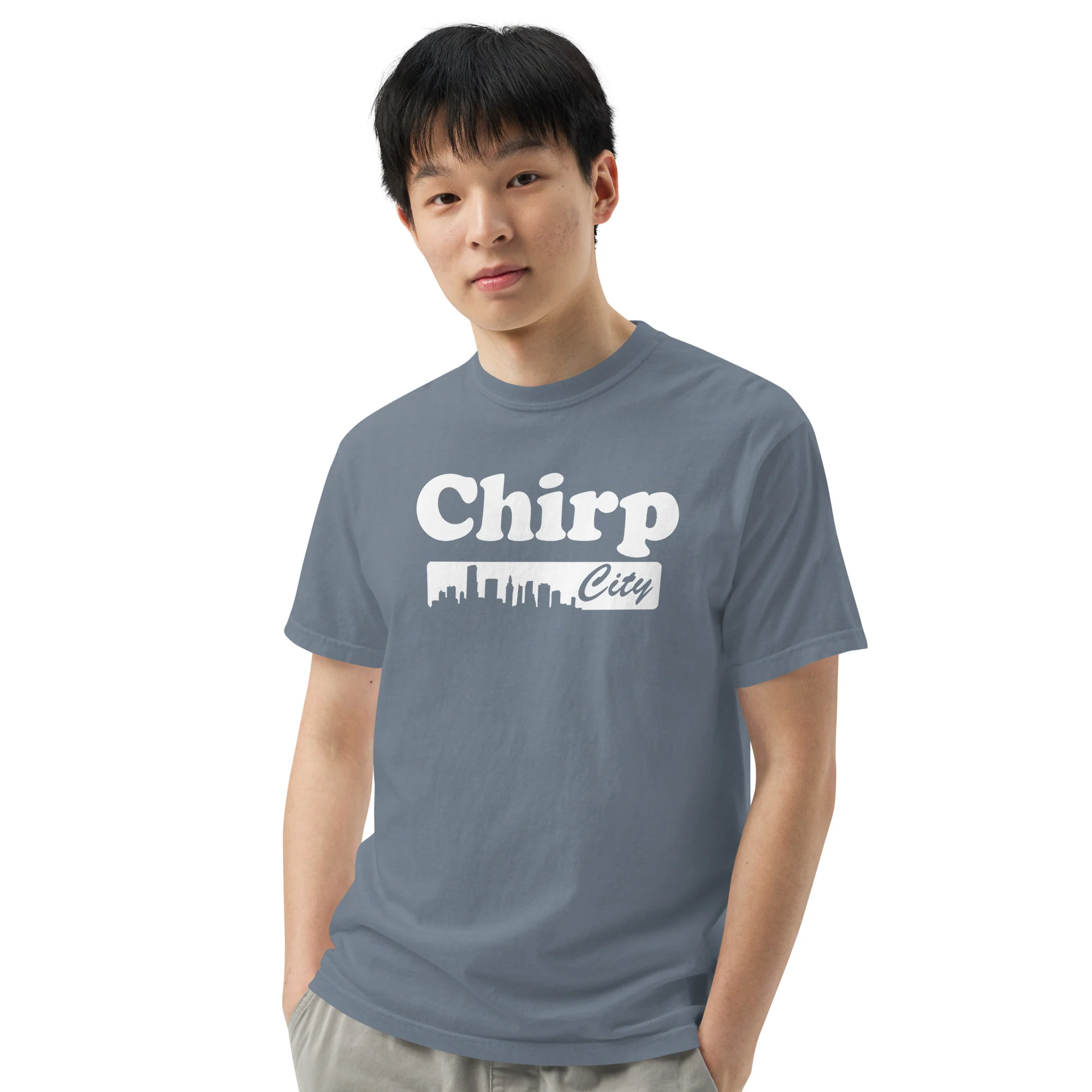 Chirp City Skyline Unisex garment-dyed heavyweight t-shirt - Image 4