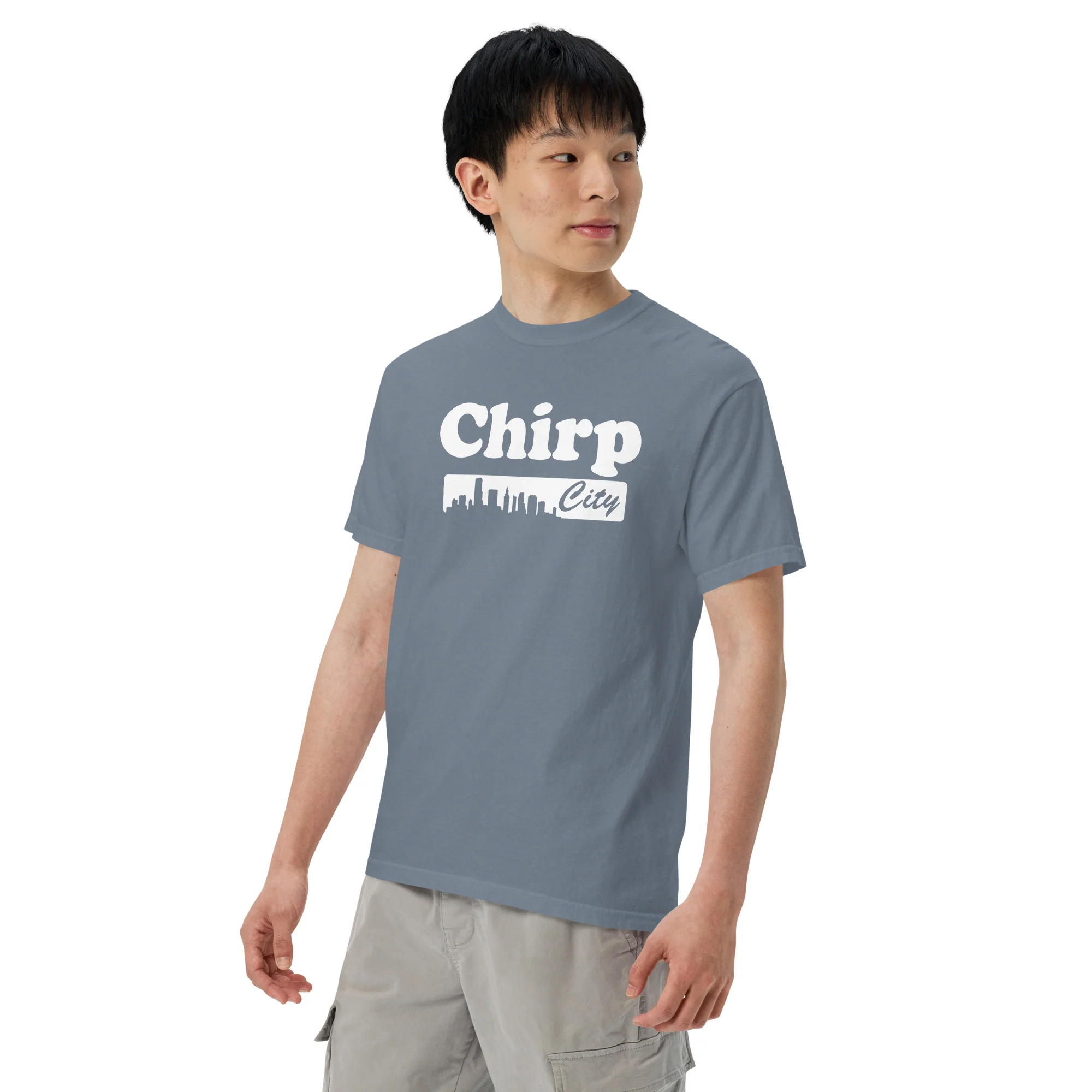 Chirp City Skyline Unisex garment-dyed heavyweight t-shirt - Image 5
