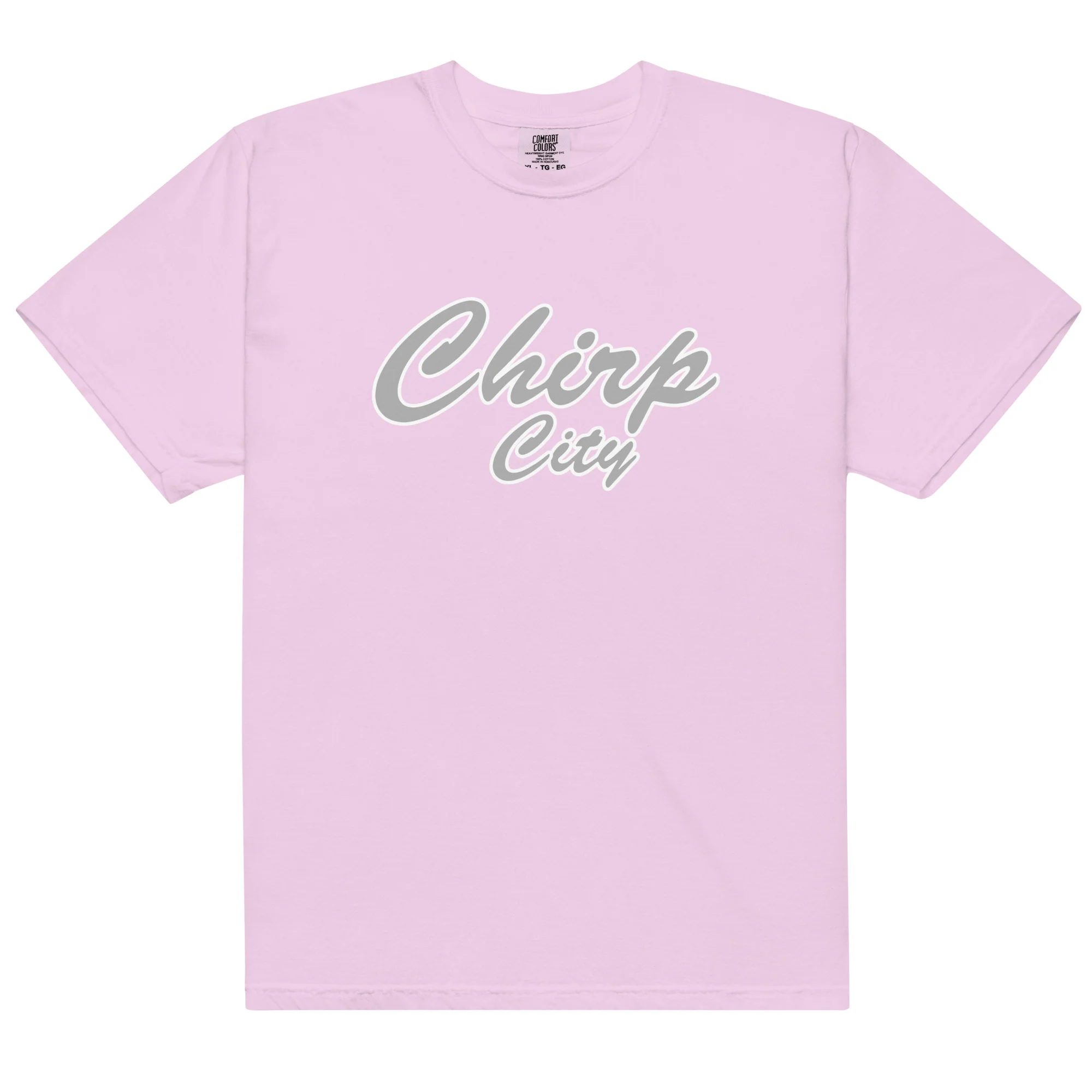 Chirp City Unisex garment-dyed heavyweight t-shirt - Image 5