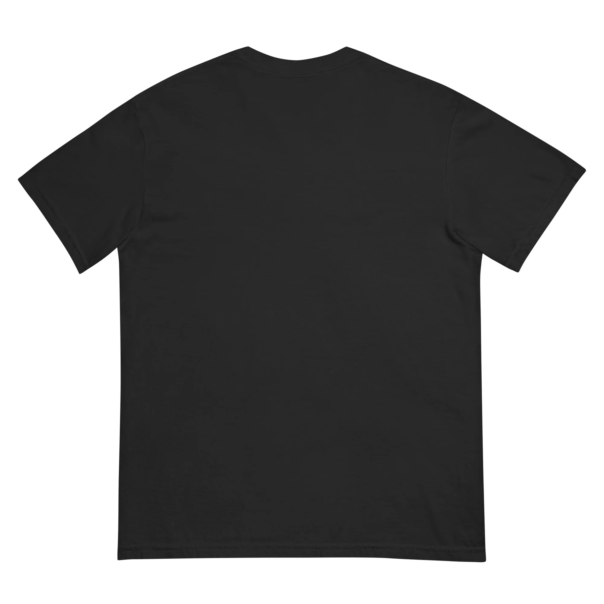 Chirp City Unisex garment-dyed heavyweight t-shirt - Image 7