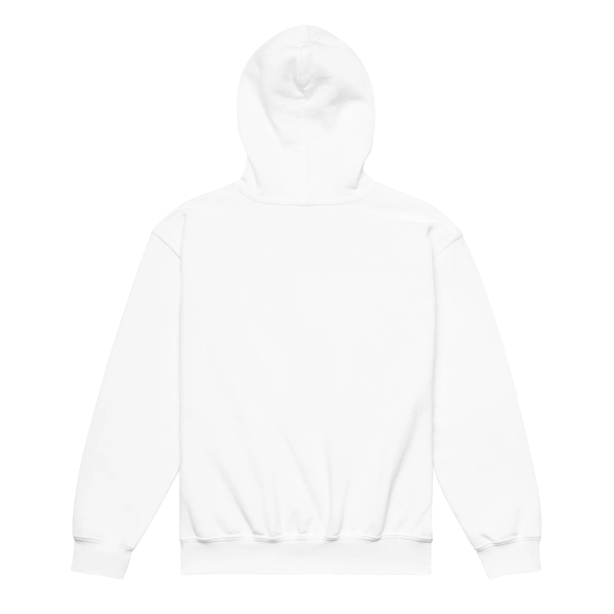 Emery YOUTH heavy blend hoodie - Image 2