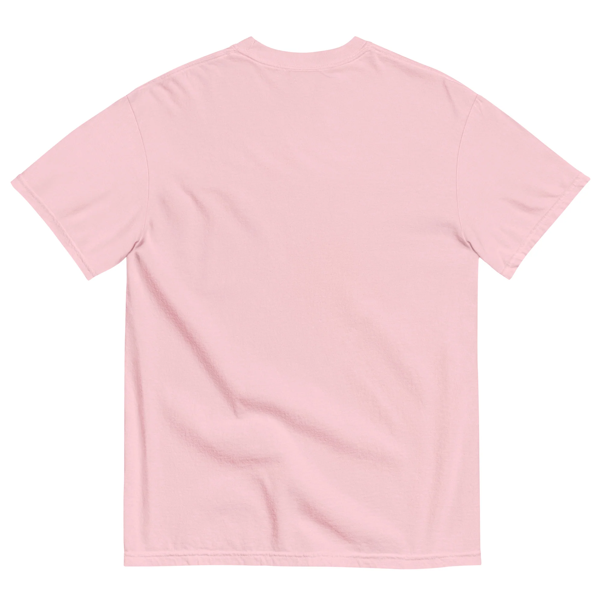 Indian River Unisex garment-dyed t-shirt - Image 18