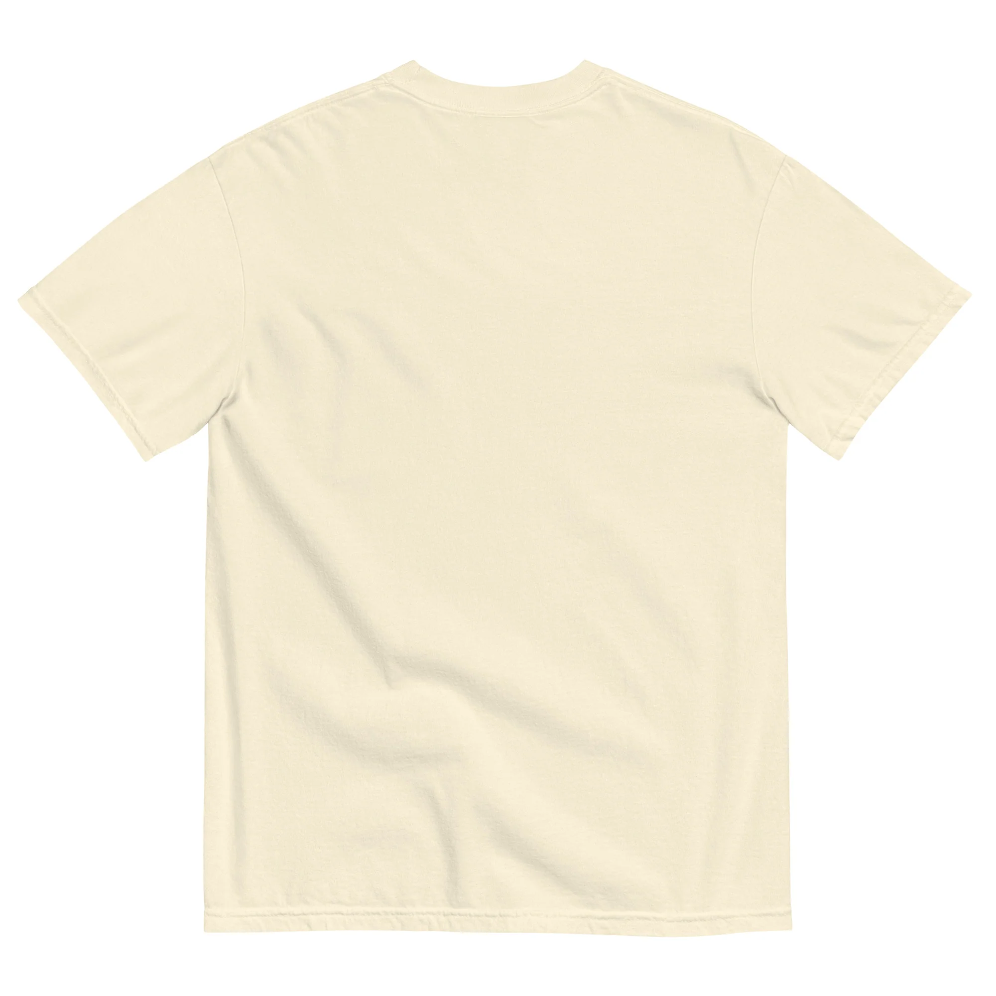 Indian River Unisex garment-dyed t-shirt - Image 20