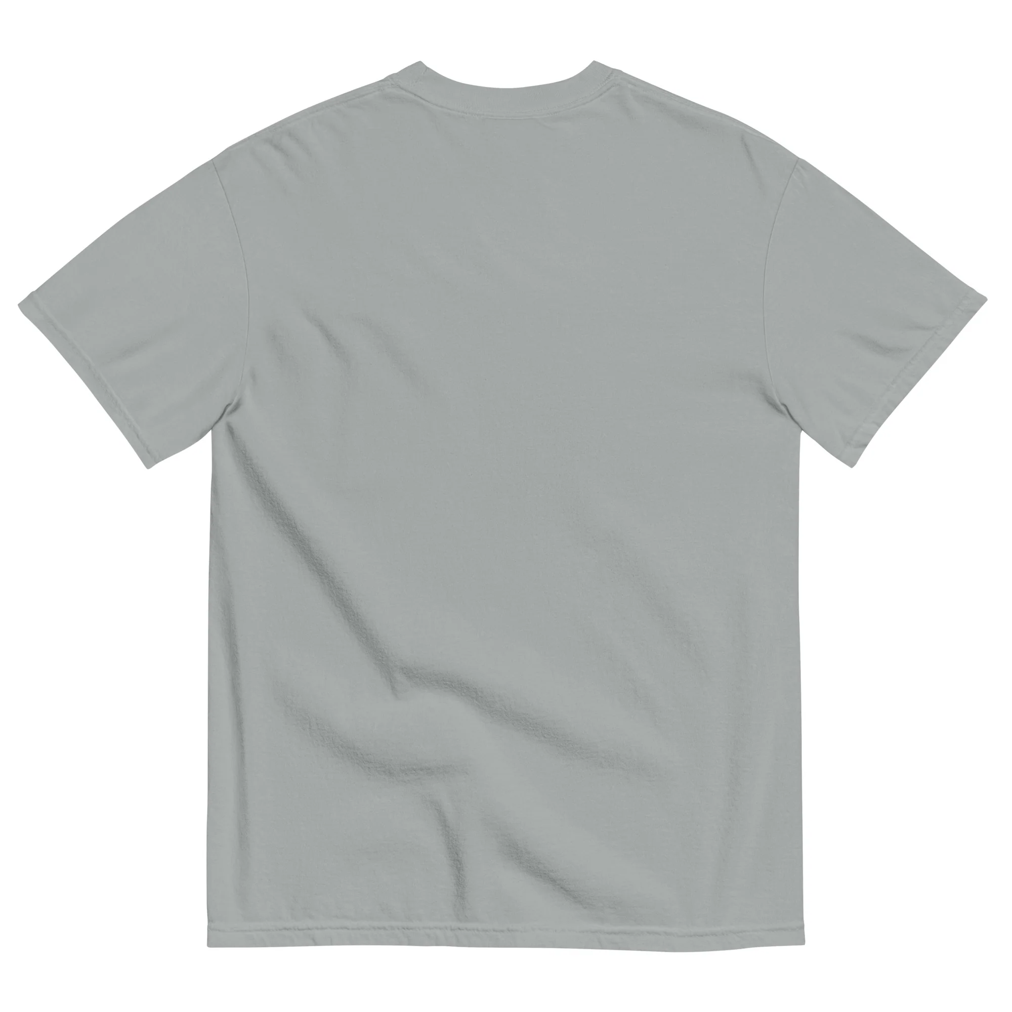 Indian River Unisex garment-dyed t-shirt - Image 6