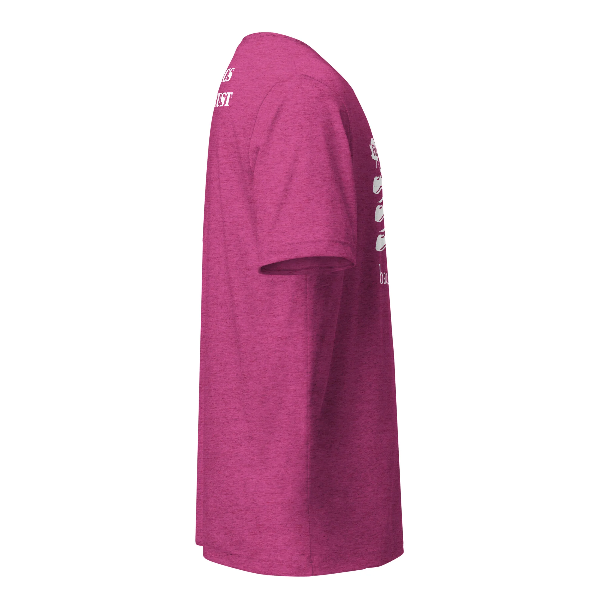 Iron Pigs Short Sleeve t-shirt - Image 3