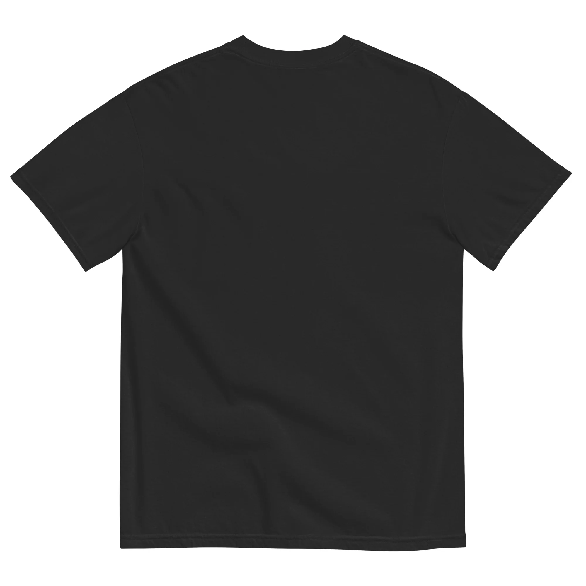 Pendleton Unisex garment-dyed t-shirt - Image 6
