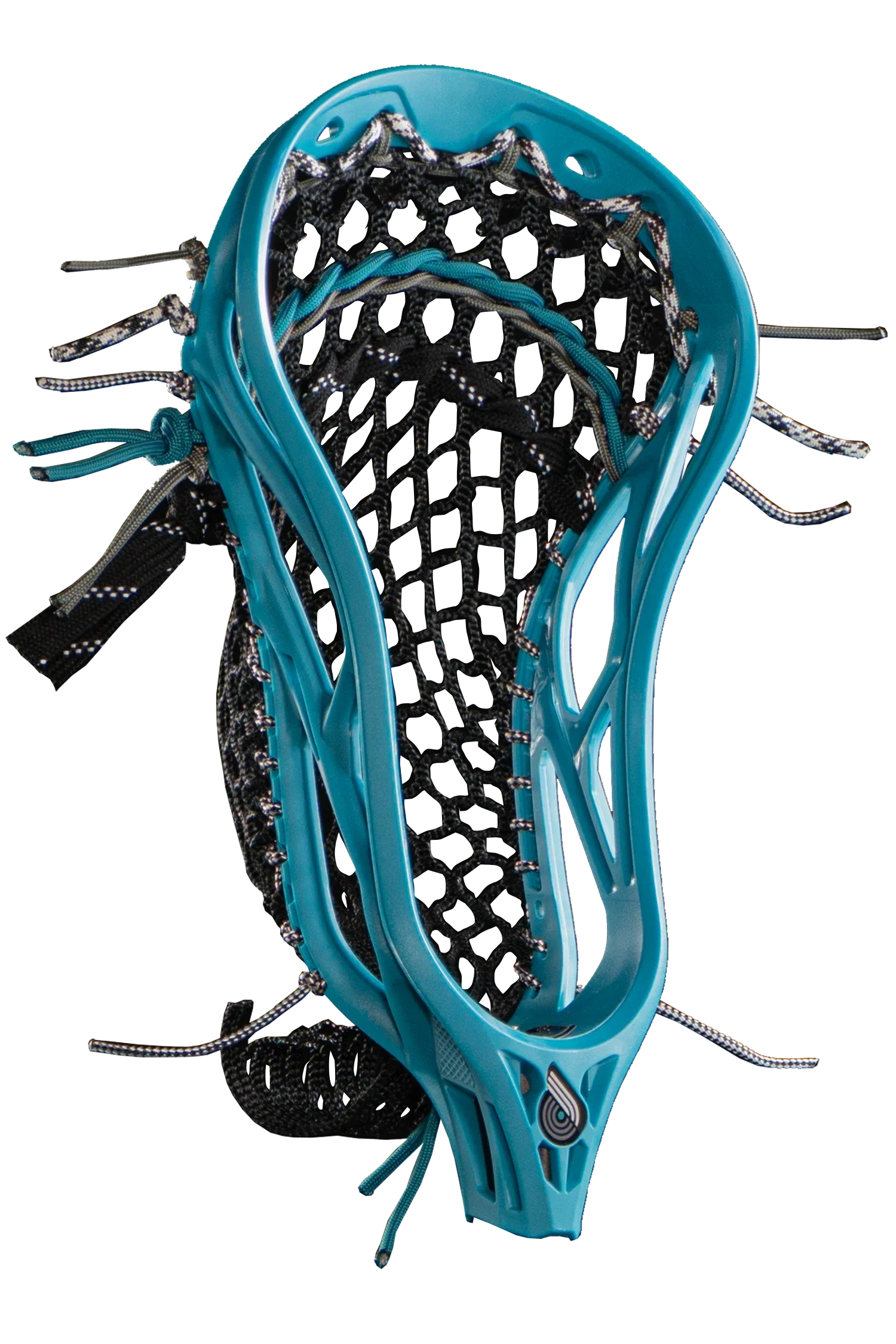 Rain Dog - Teal - Image 3