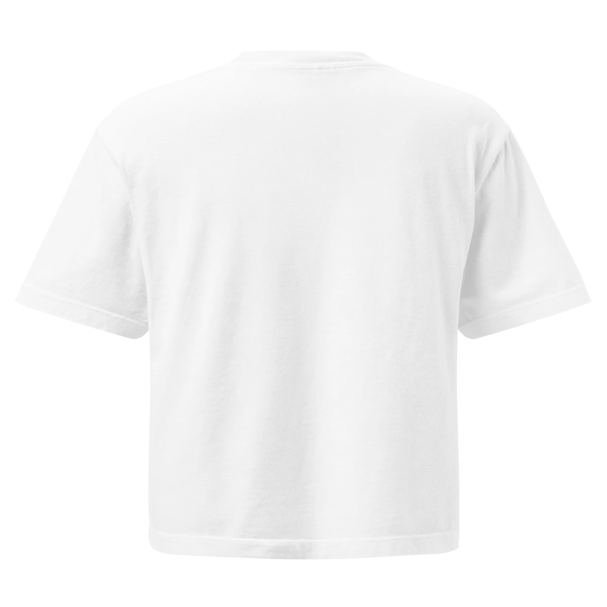 Riverside Women’s heavyweight boxy tee - Image 18