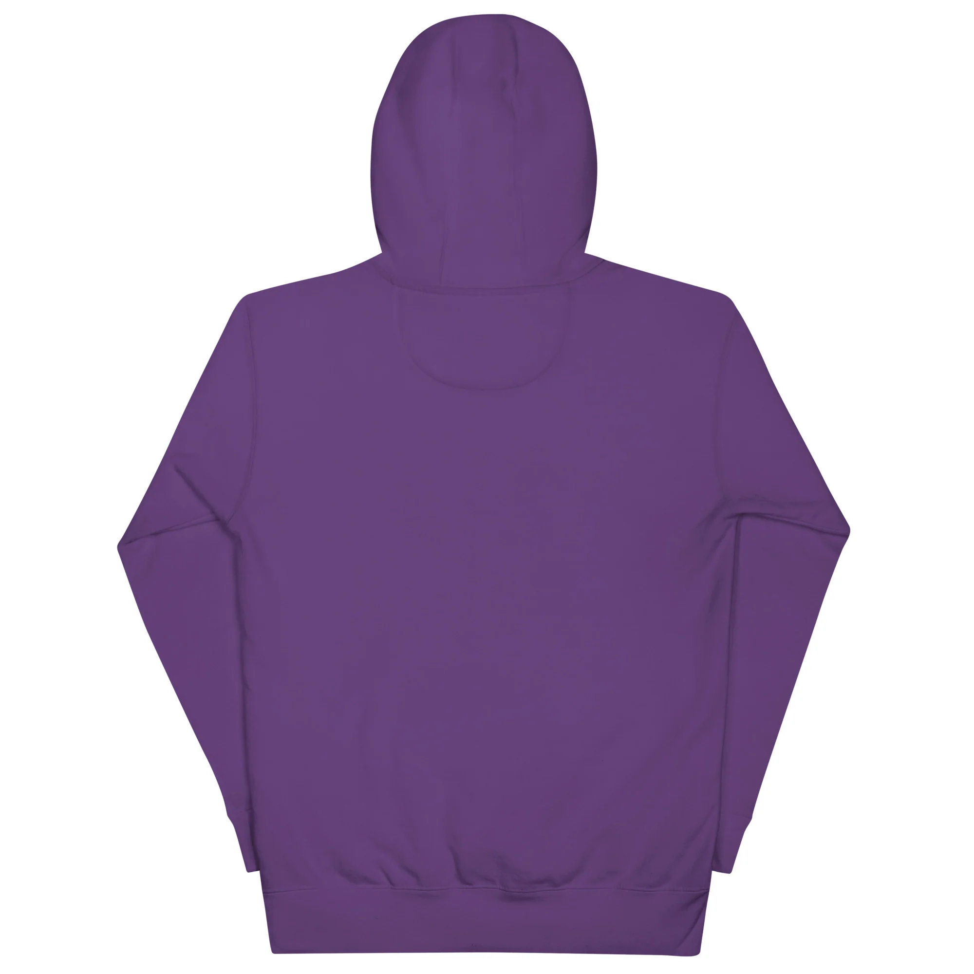 Southern Premier Unisex Hoodie - Image 5