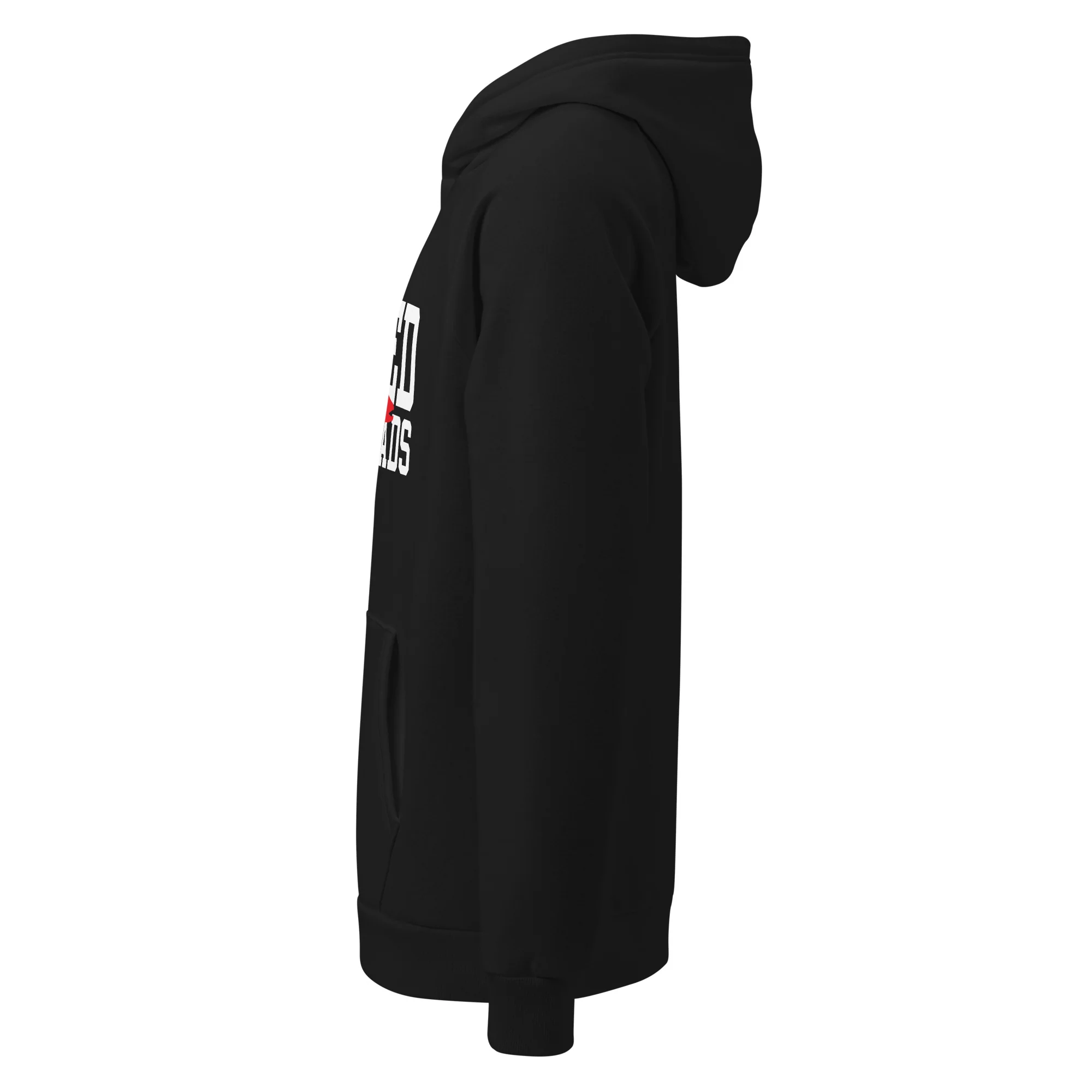 Steelheads Under Armour® Hoodie - Image 2